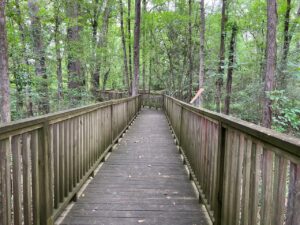 An accessible path in nature