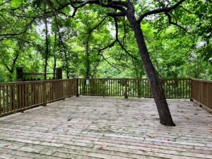 A landing outdoors with a tree growing through it