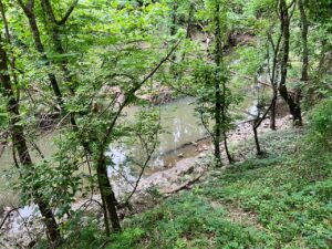 The outdoors with a small creek